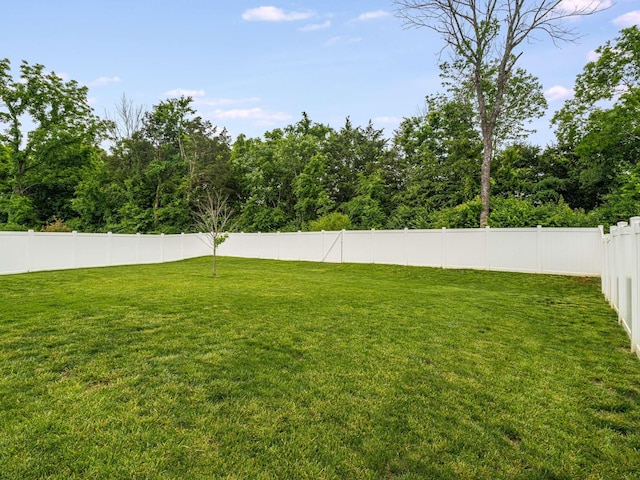 7231 Carrie Ct, Antioch, TN 37013 - view of yard