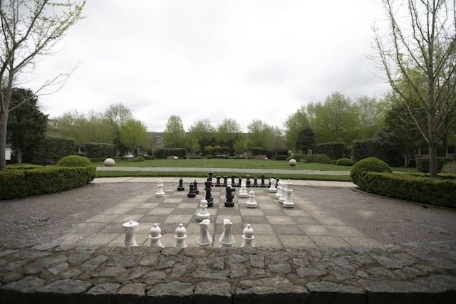 118 Jasper Ave, Franklin, TN 37064 - view of community