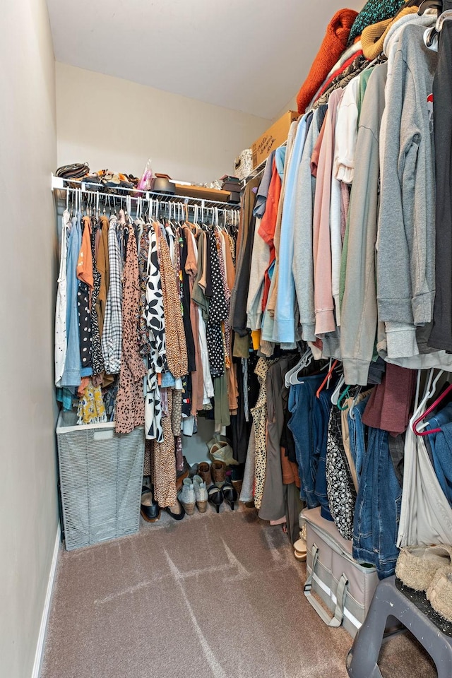 1071 Muna Ct, Spring Hill, TN 37174 - walk in closet with carpet floors