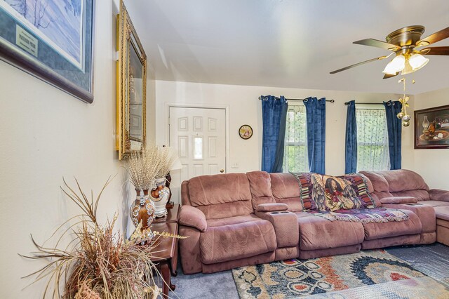 3027 Capps Dr, Nashville, TN 37207 - photo 7