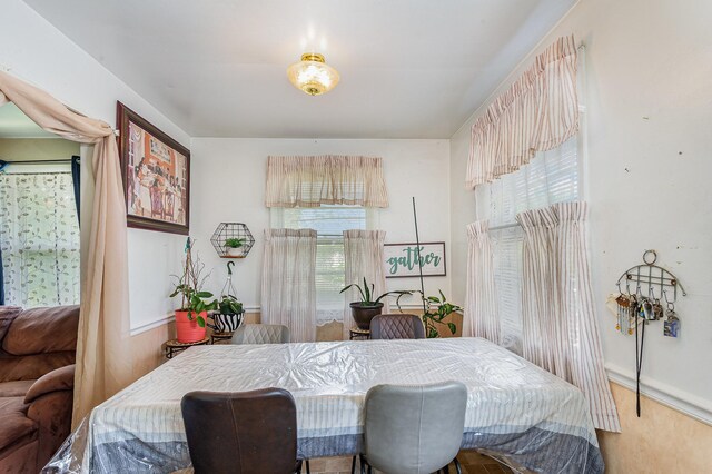 3027 Capps Dr, Nashville, TN 37207 - photo 12