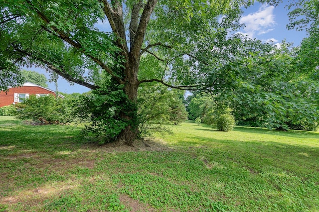3027 Capps Dr, Nashville, TN 37207 - photo 34