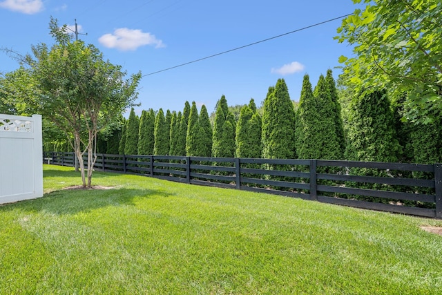 2342 N Tennessee Blvd Unit 1203, Murfreesboro, TN 37130 - view of yard