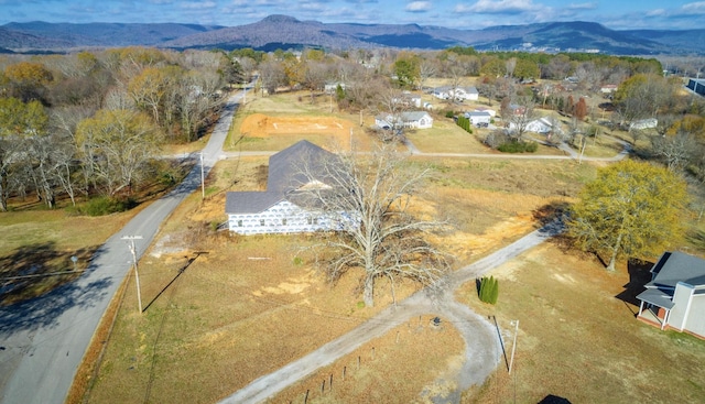 0 Ehrich Ave, Bridgeport, AL 35740 - photo 14