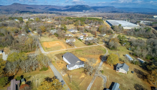 0 Ehrich Ave, Bridgeport, AL 35740 - photo 21
