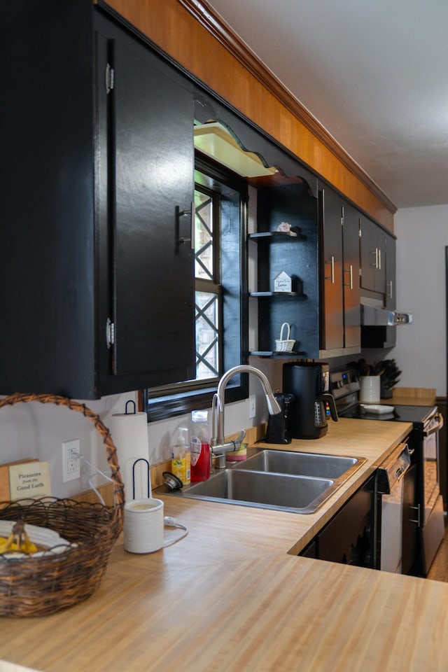 4169 Bledsoe St, Westmoreland, TN 37186 - kitchen featuring a sink, stainless steel electric range, light countertops, under cabinet range hood, and dark cabinets