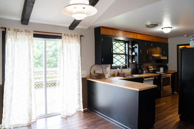 4169 Bledsoe St, Westmoreland, TN 37186 - kitchen with a sink, black appliances, dark cabinets, light countertops, and dark wood-style floors