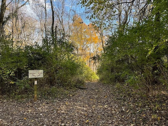 1706 Townsend Blvd, Franklin, TN 37064 - view of yard