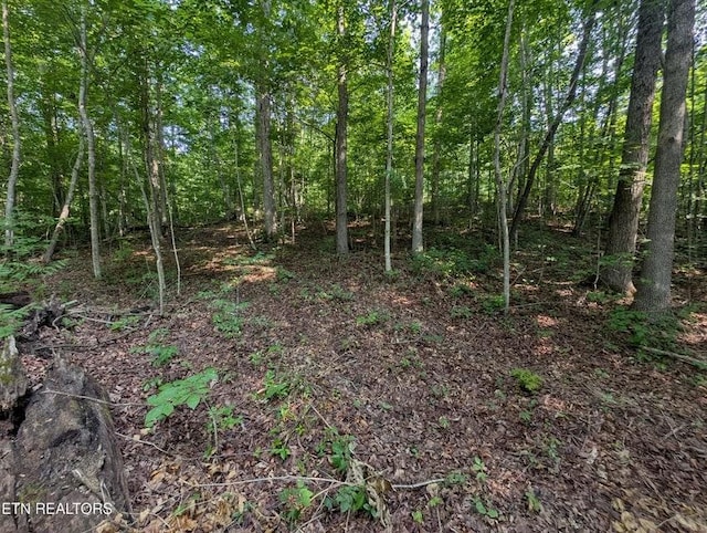 0 Cheyenne Dr SW, Jamestown, TN 38556 - photo 30