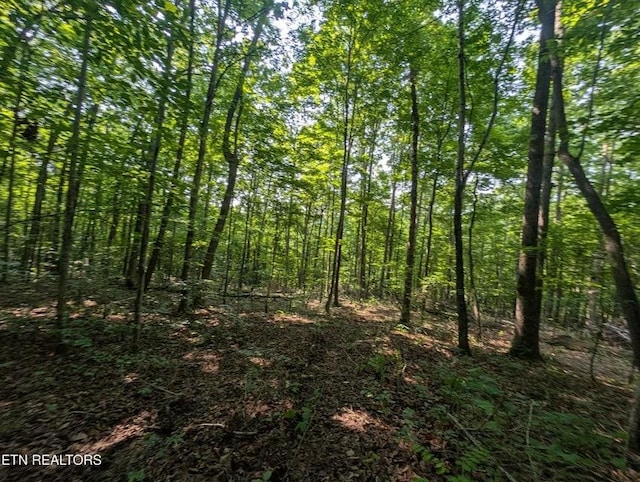 0 Cheyenne Dr SW, Jamestown, TN 38556 - photo 23