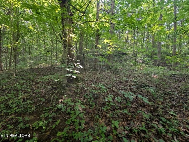 0 Cheyenne Dr SW, Jamestown, TN 38556 - photo 35
