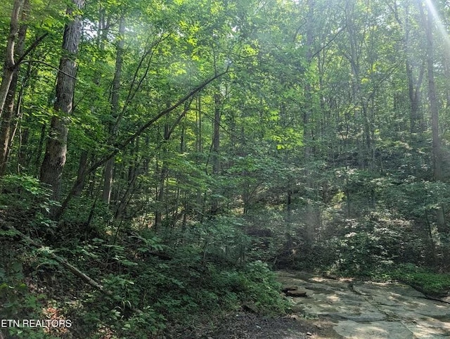 0 Cheyenne Dr SW, Jamestown, TN 38556 - photo 33