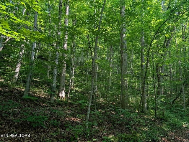 0 Cheyenne Dr SW, Jamestown, TN 38556 - photo 32