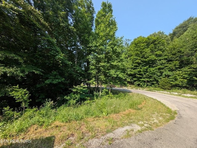 0 Cheyenne Dr SW, Jamestown, TN 38556 - photo 6
