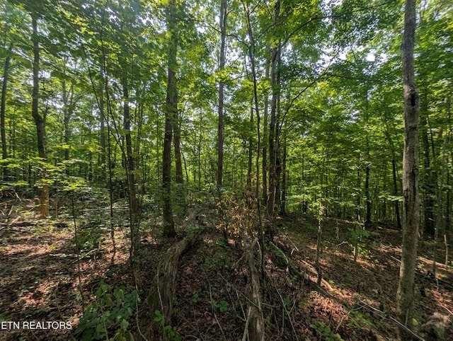 0 Cheyenne Dr SW, Jamestown, TN 38556 - photo 28