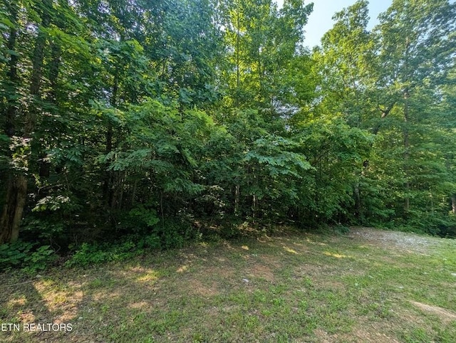 0 Cheyenne Dr SW, Jamestown, TN 38556 - photo 3