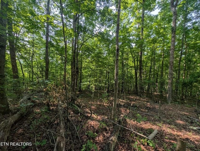 0 Cheyenne Dr SW, Jamestown, TN 38556 - photo 27