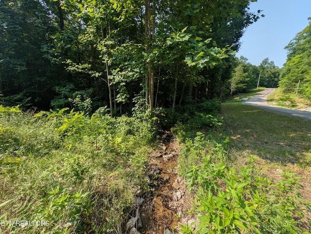 0 Cheyenne Dr SW, Jamestown, TN 38556 - photo 7