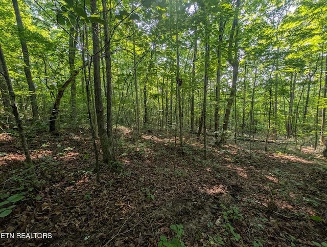 0 Cheyenne Dr SW, Jamestown, TN 38556 - photo 22