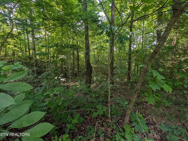 0 Cheyenne Dr SW, Jamestown, TN 38556 - photo 5