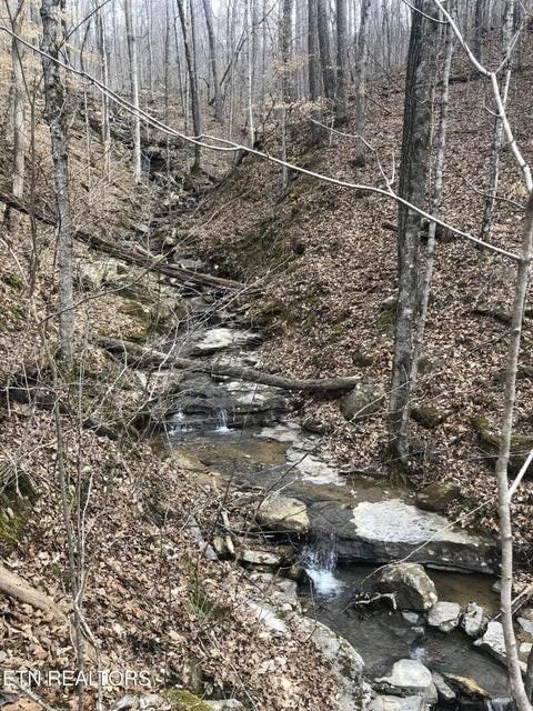 0 Cheyenne Dr SW, Jamestown, TN 38556 - photo 16