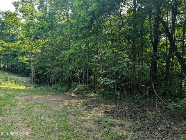 0 Cheyenne Dr SW, Jamestown, TN 38556 - photo 17