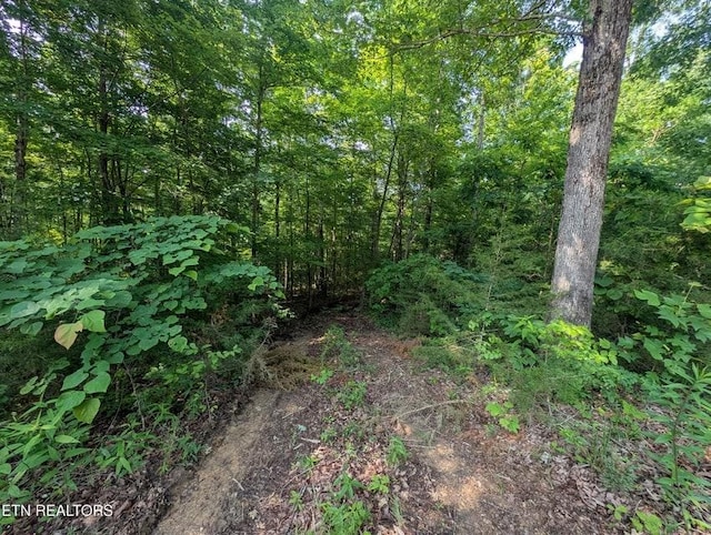 0 Cheyenne Dr SW, Jamestown, TN 38556 - photo 20