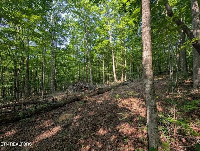 0 Cheyenne Dr SW, Jamestown, TN 38556 - photo 24