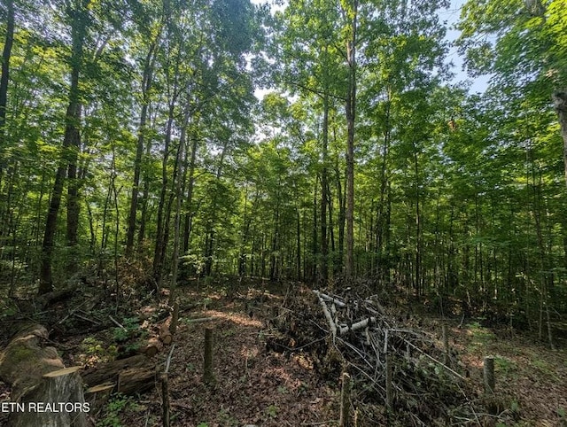 0 Cheyenne Dr SW, Jamestown, TN 38556 - photo 29