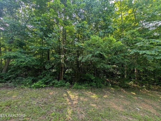 0 Cheyenne Dr SW, Jamestown, TN 38556 - photo 4