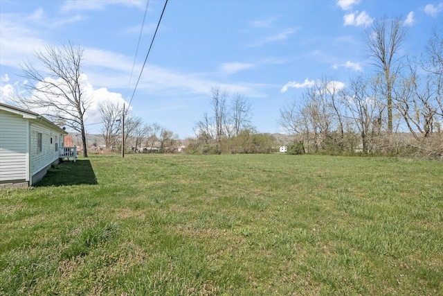 125 Fitzgerald Ave, Celina, TN 38551 - view of green lawn