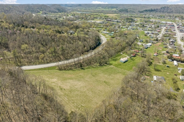 125 Fitzgerald Ave, Celina, TN 38551 - view of property location with a forest