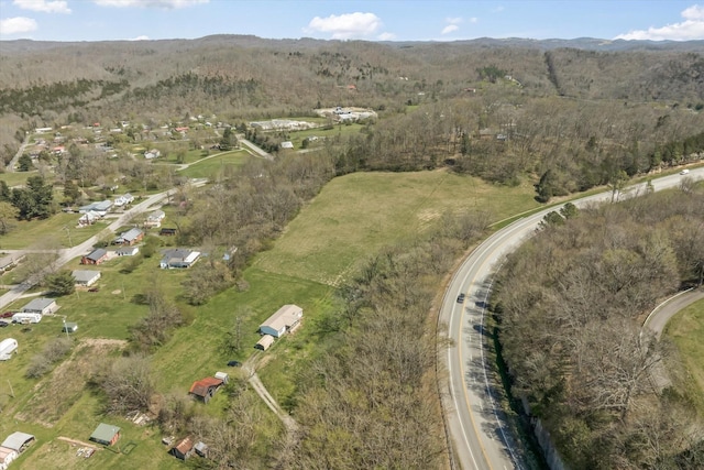 125 Fitzgerald Ave, Celina, TN 38551 - aerial view of property's location featuring a heavily wooded area