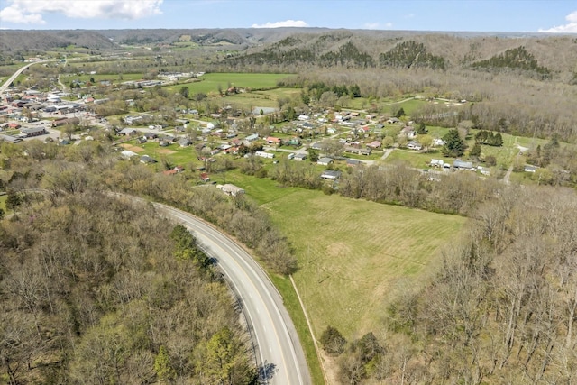 125 Fitzgerald Ave, Celina, TN 38551 - aerial overview of property's location with nearby suburban area