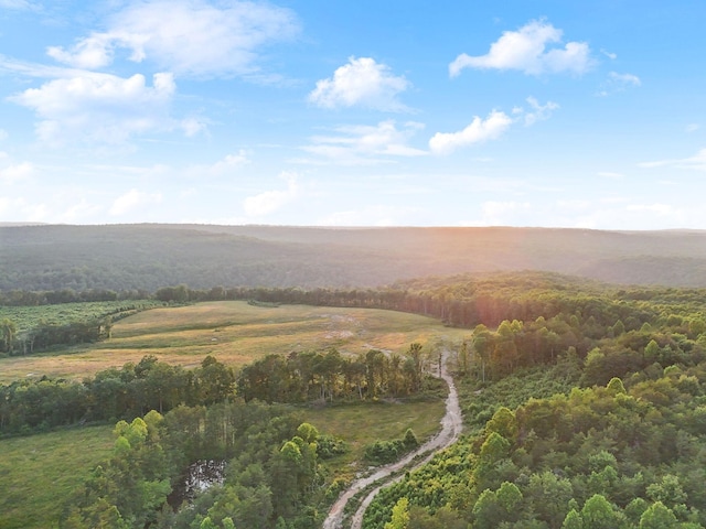0 Fletcher Rd, Gruetli Laager, TN 37339 - aerial overview of property's location with a heavily wooded area