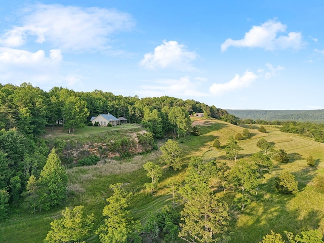 0 Fletcher Rd, Gruetli Laager, TN 37339 - view from above of property featuring a forest