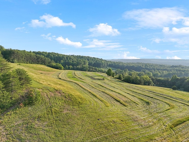 0 Fletcher Rd, Gruetli Laager, TN 37339 - drone / aerial view of a heavily wooded area