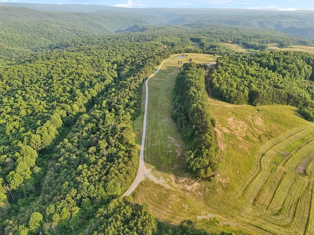 0 Fletcher Rd, Gruetli Laager, TN 37339 - aerial overview of property's location with a forest