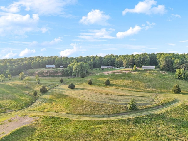 0 Fletcher Rd, Gruetli Laager, TN 37339 - view of rural area
