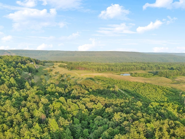 0 Fletcher Rd, Gruetli Laager, TN 37339 - aerial view of property and surrounding area featuring a forest