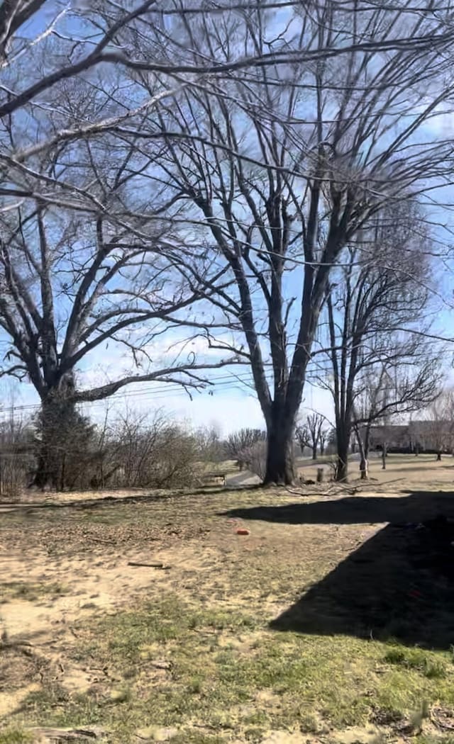 239 Pine Bluff Rd, Rock Island, TN 38581 - view of yard