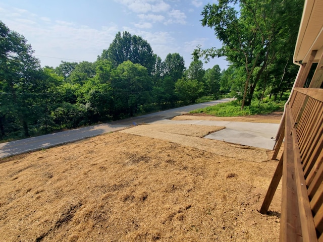 321 Turkey Creek Hwy, Carthage, TN 37030 - view of yard