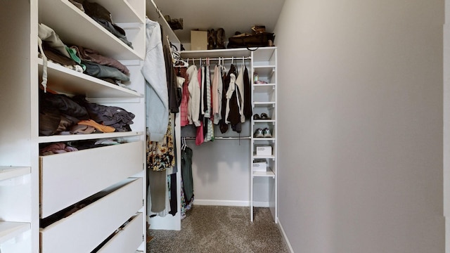 5127 Heroes Ln, Murfreesboro, TN 37129 - walk in closet featuring carpet flooring