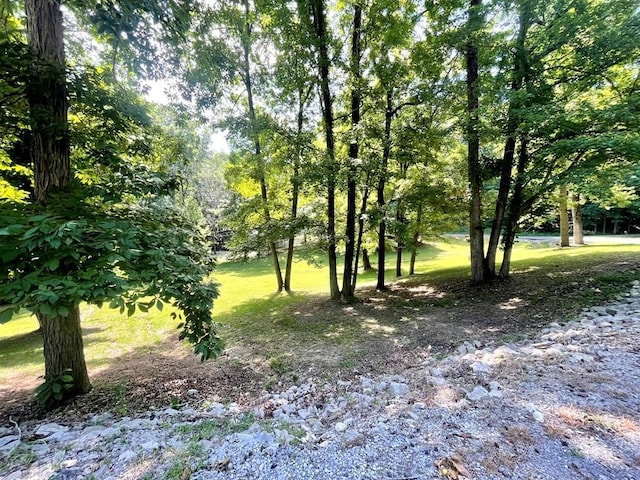 159 Driftwood Dr, Eddyville, KY 42038 - photo 39