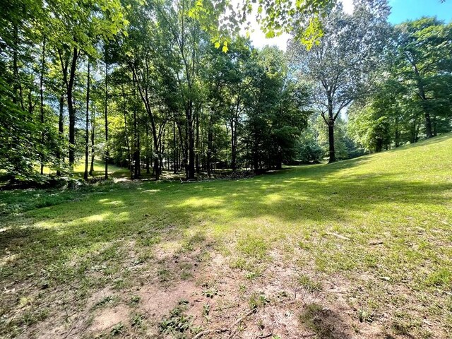 159 Driftwood Dr, Eddyville, KY 42038 - photo 37