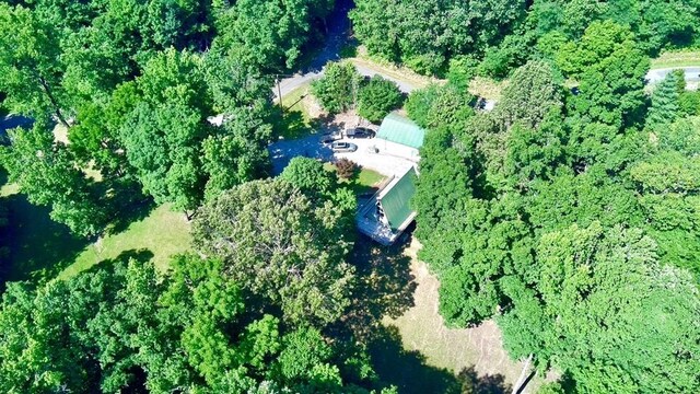 159 Driftwood Dr, Eddyville, KY 42038 - photo 49