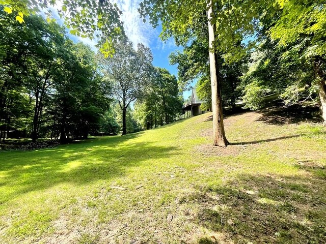 159 Driftwood Dr, Eddyville, KY 42038 - photo 35