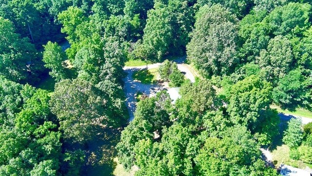 159 Driftwood Dr, Eddyville, KY 42038 - photo 47