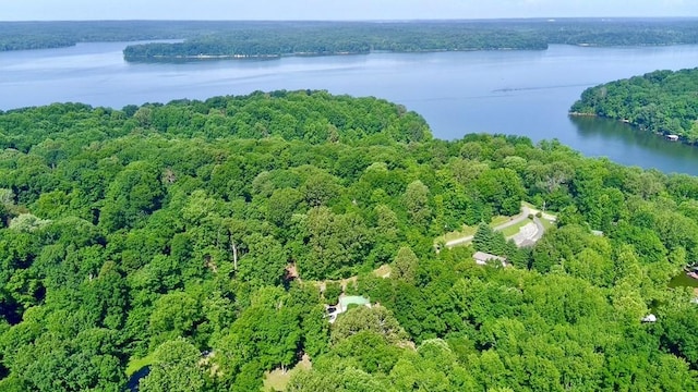 159 Driftwood Dr, Eddyville, KY 42038 - photo 45