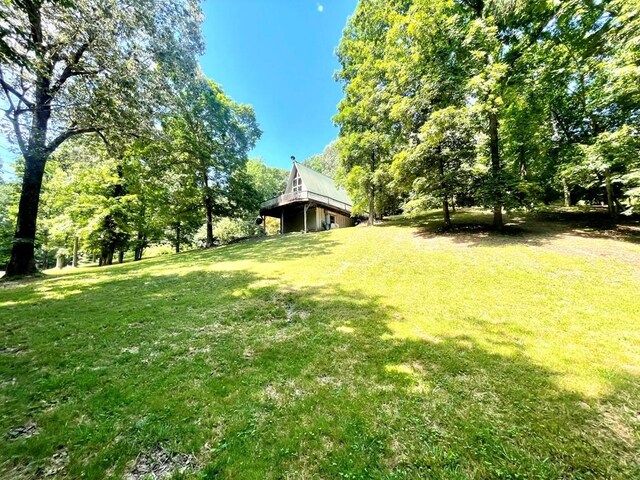 159 Driftwood Dr, Eddyville, KY 42038 - photo 34